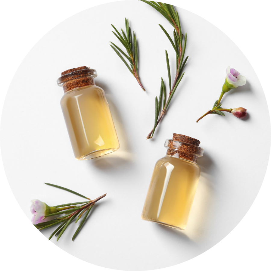 TagRecede Bee Venom Spray